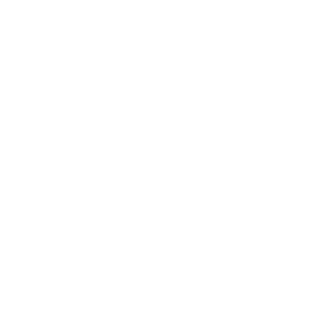 NoGag_LogoWhite_300x300
