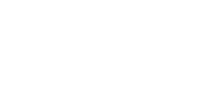 Portfolio_MichiganFlyer-logo