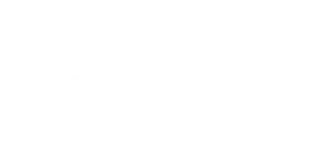 Portfolio_MichiganFlyer-logo