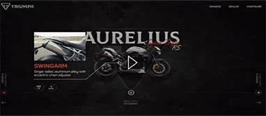 Feature video on the Triumph Website